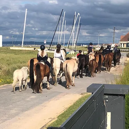 בית הארחה La Vague Salee 3*