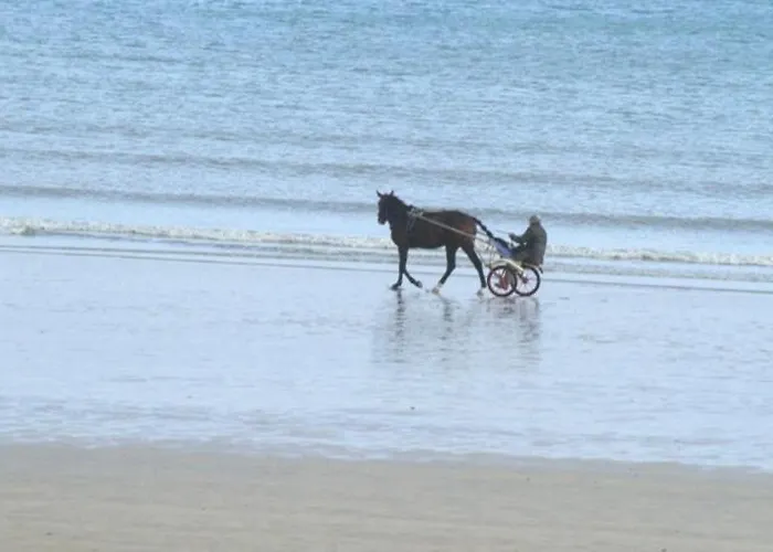 בית הארחה La Vague Salee 3*