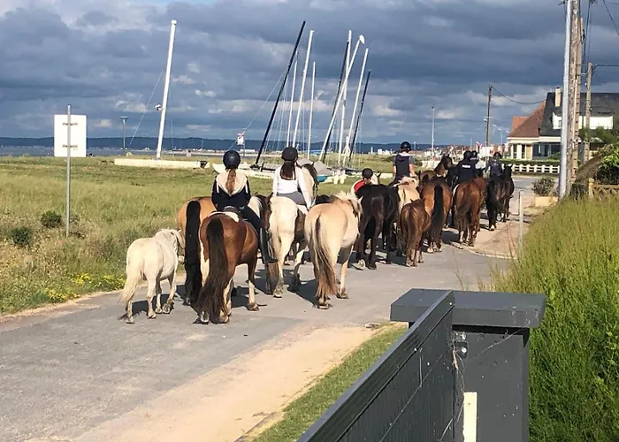 בית הארחה La Vague Salee 3*